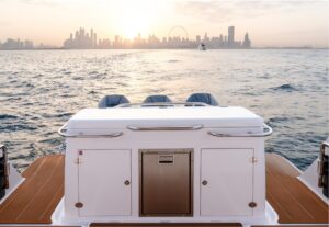 2026 Oryx 37 FX for sale - photo 8