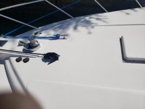 2000 Bertram 510 Convertible for sale - photo 2
