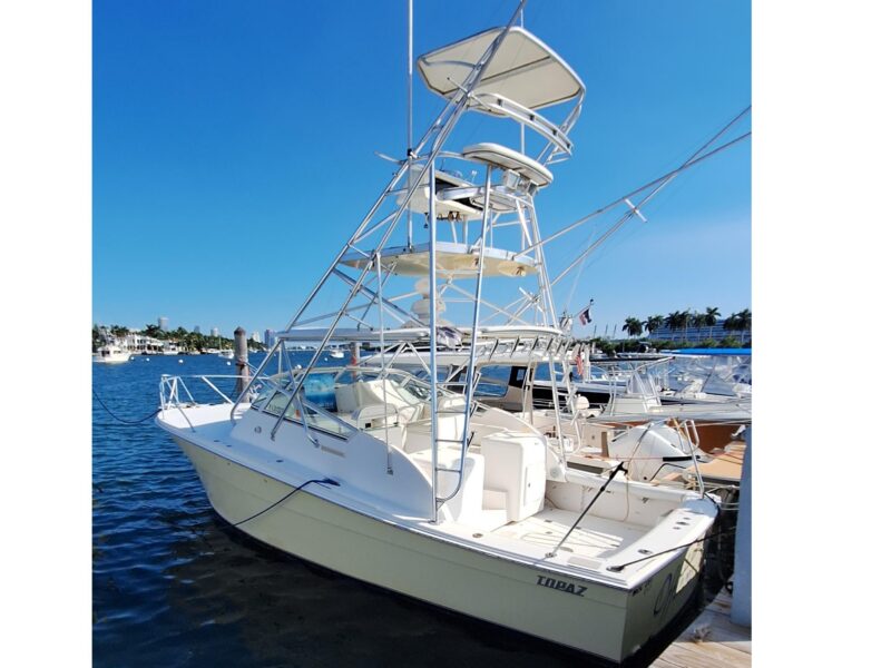 2001 Topaz Express