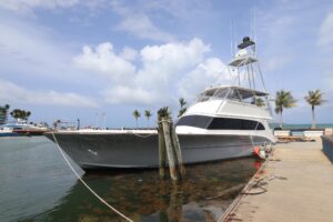 2002 Buddy Davis 74 for sale