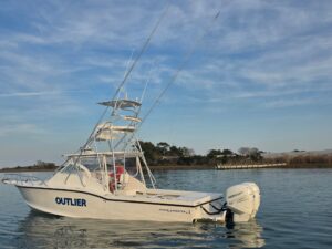 2005 Ocean Master 31 EXPRESS SPORT CABIN for sale - photo 2