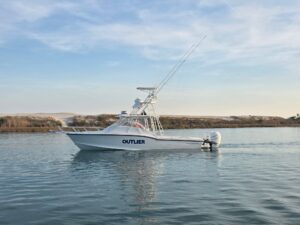 2005 Ocean Master 31 EXPRESS SPORT CABIN for sale - photo 4