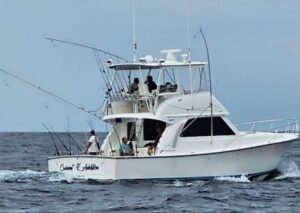 2006 Henriques 42 Sportfisherman for sale