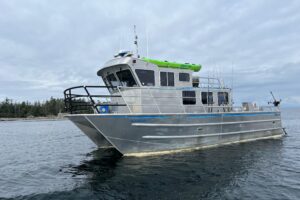 2007 Armstrong Marine 36 Catamaran for sale
