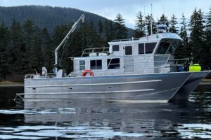 2007 Armstrong Marine 36 Catamaran for sale - photo 2