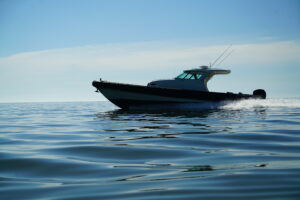 2008 Protector 38 Tauranga SL for sale - photo 4