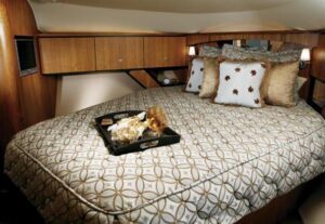 2008 Tiara Yachts 4300 Sovran for sale - photo 6