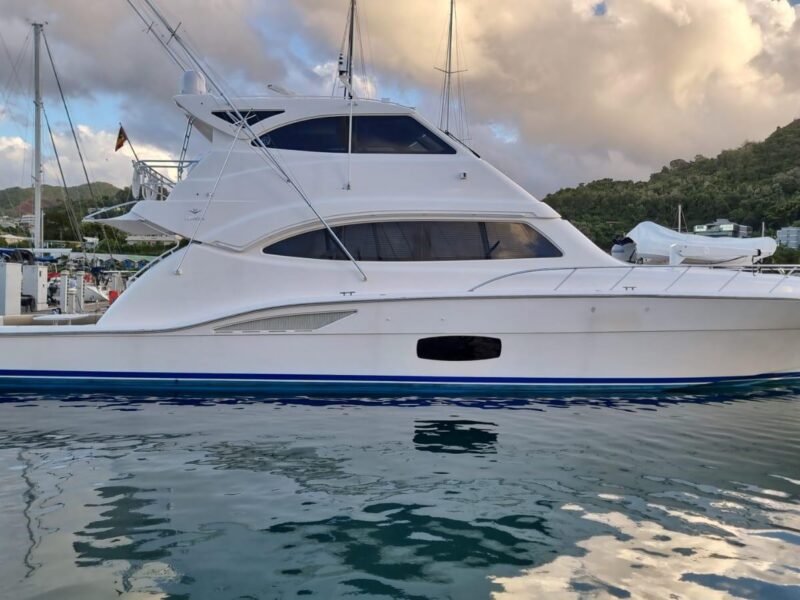 2009 Bertram 700