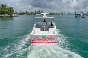 2010 Buddy Davis 35 Predator for sale - photo 8