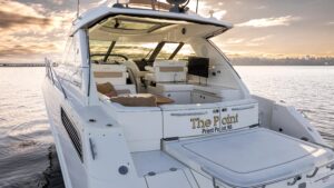 2010 Sea Ray 450 Sundancer for sale - photo 6