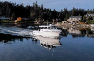 2013 Ocean Sport Roamer 33 by Lindell for sale - photo 4