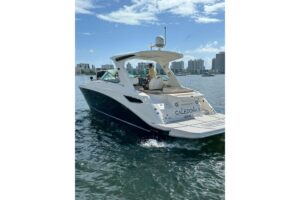 2016 Sea Ray Sundancer 350 for sale - photo 4