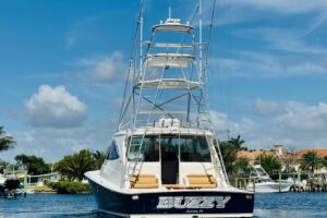 2017 Viking 52 Sport Tower for sale - photo 7
