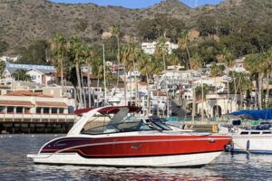 2019 Formula 310 Bowrider for sale - photo 2