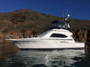 2001 Bertram 390 Convertible for sale - photo 5