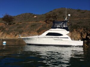 2001 Bertram 390 Convertible for sale - photo 6