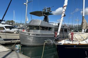 2002 Custom Carlson Marine Trawler for sale - photo 4