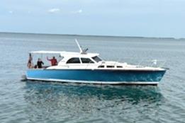 2006 Santa Cruz Coastal Flyer 41, picnic cruiser for sale - photo 3