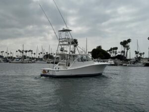 2007 Luhrs 41 Express for sale