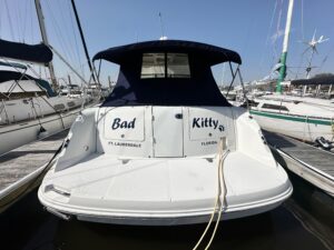 2007 Sea Ray 380 Sundancer for sale - photo 3