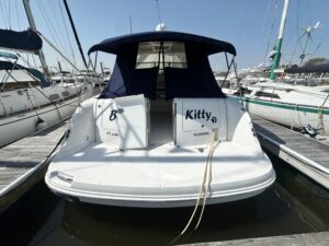 2007 Sea Ray 380 Sundancer for sale - photo 5