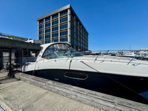 2009 Sea Ray Sundancer 350 for sale - photo 3