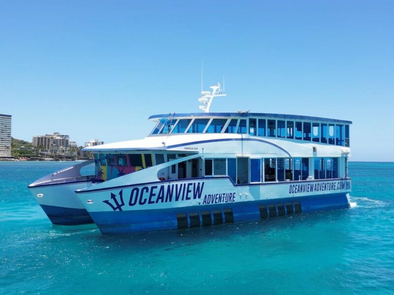 2010 Custom Semi Sub Power Catamaran