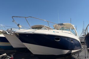2013 Chaparral 310 Signature for sale - photo 2