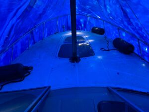 2017 Sea Ray Sundancer 310 for sale - photo 2