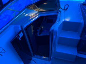 2017 Sea Ray Sundancer 310 for sale - photo 7