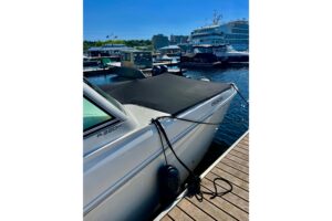 2017 World Cat 320 DC for sale - photo 8