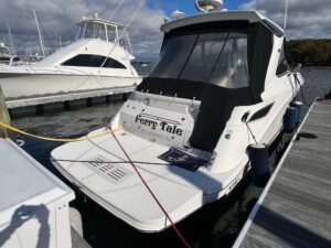 2018 Sea Ray Sundancer 350 for sale - photo 6