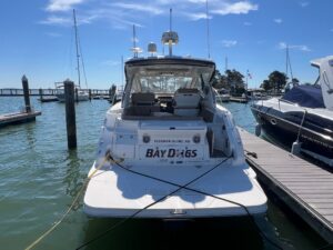2018 Sea Ray Sundancer 350 Coupe for sale - photo 7