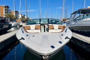 2019 Four Winns H290 for sale - photo 3
