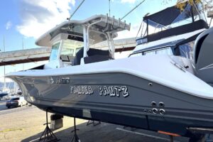 2019 HCB 39 Speciale for sale - photo 3