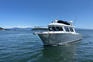 2020 Coastal Craft 33 ProFish for sale - photo 2