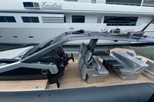 2022 Anvera Freebird 42 for sale - photo 4