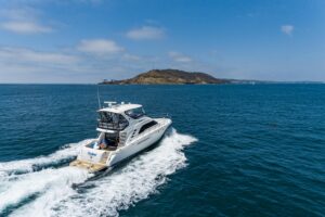 2001 Sea Ray 560 Sedan Bridge for sale - photo 6