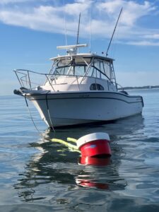 2002 Grady-White Marlin 300 for sale