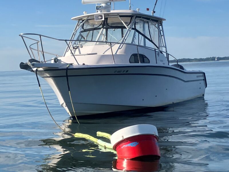 2002 Grady-White Marlin 300
