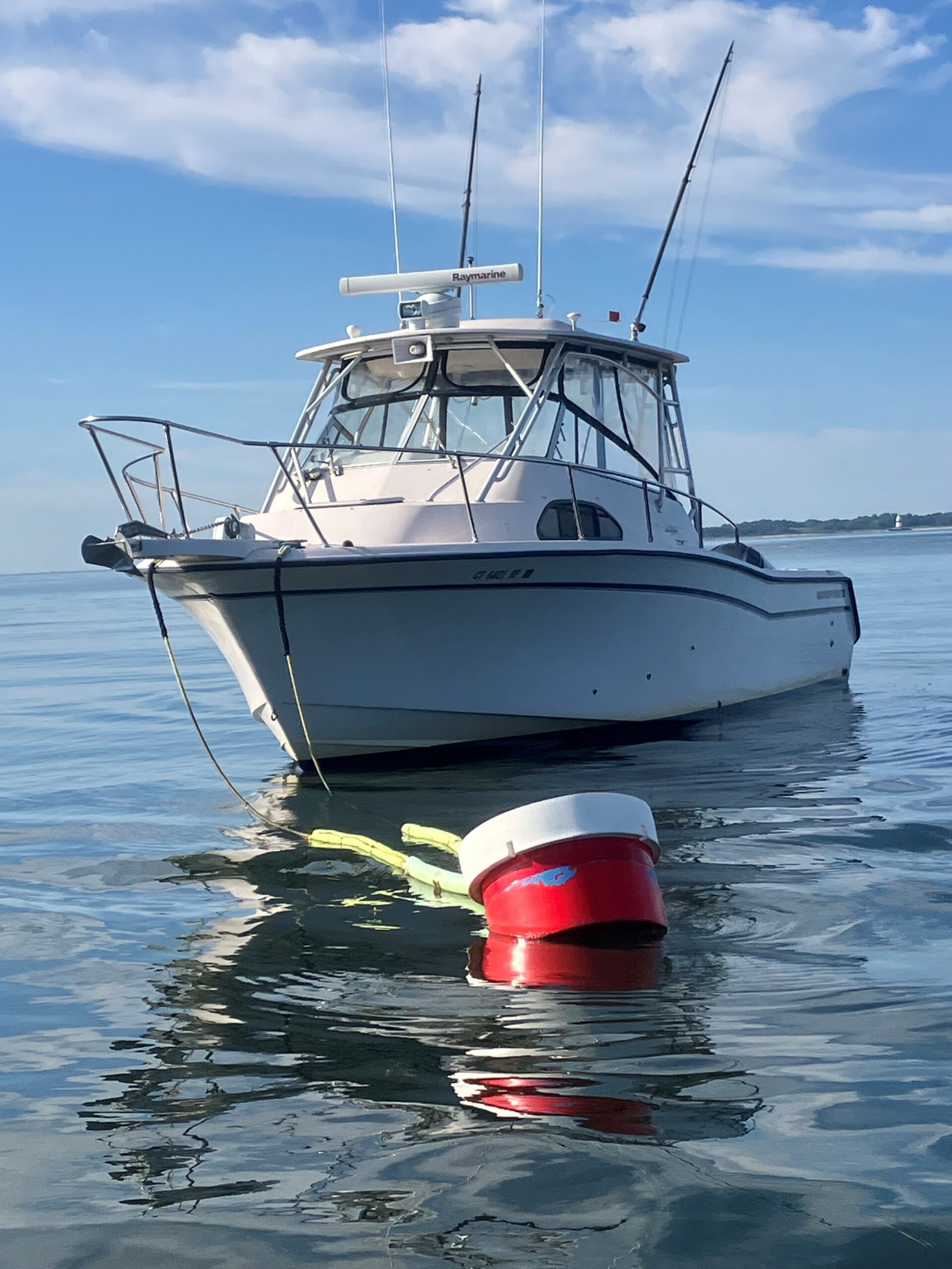 2002 Grady-White Marlin 300 for sale