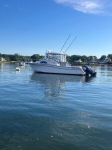 2002 Grady-White Marlin 300 for sale - photo 2