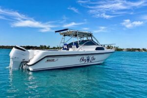 2003 Boston Whaler 295 Conquest for sale