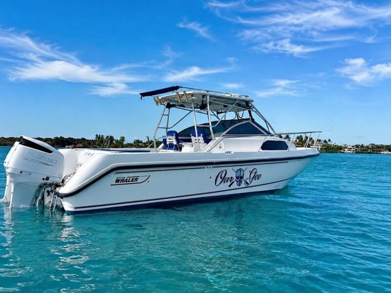 2003 Boston Whaler 295 Conquest
