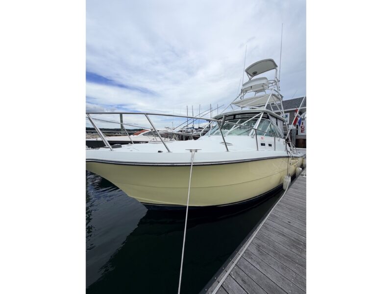 2003 Rampage 38 Express