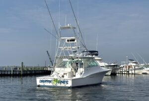 2004 Cabo 40 Express for sale - photo 2