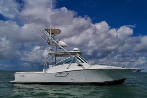 2006 Albemarle 320 Express Fisherman for sale - photo 2