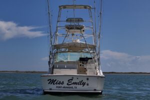 2006 Albemarle 320 Express Fisherman for sale - photo 3