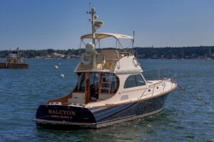 2006 Hinckley Talaria 44 Flybridge for sale - photo 4