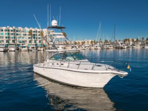 2006 Rampage 38 Express for sale - photo 7